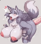 Rating: Explicit Score: 22 Tags: ahegao anthro breasts bwc cervina7 eyes_rolled_back furry glazed_dick grey_fur grey_hair huge_breasts lactation motion_lines saliva tagme tongue_out vaginal_juice_drip vaginal_juices white_male wolf User: AA